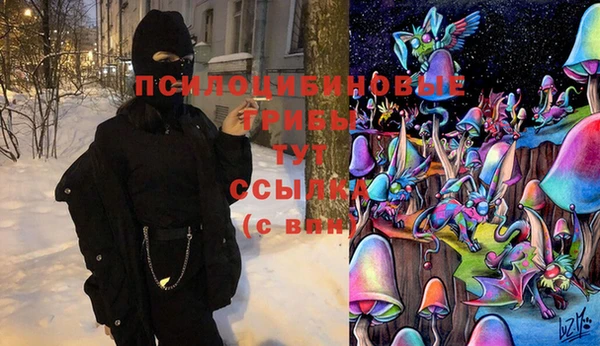 бошки Алексеевка