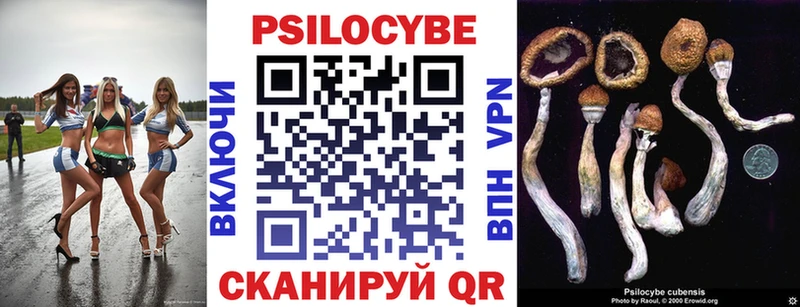 Псилоцибиновые грибы Cubensis  как найти закладки  Ветлуга 