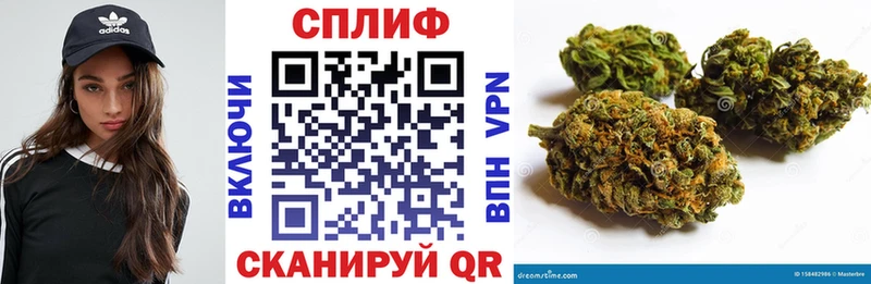 Каннабис конопля  наркотики  Ветлуга 